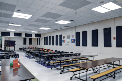 Ceiling Acoustic Panels