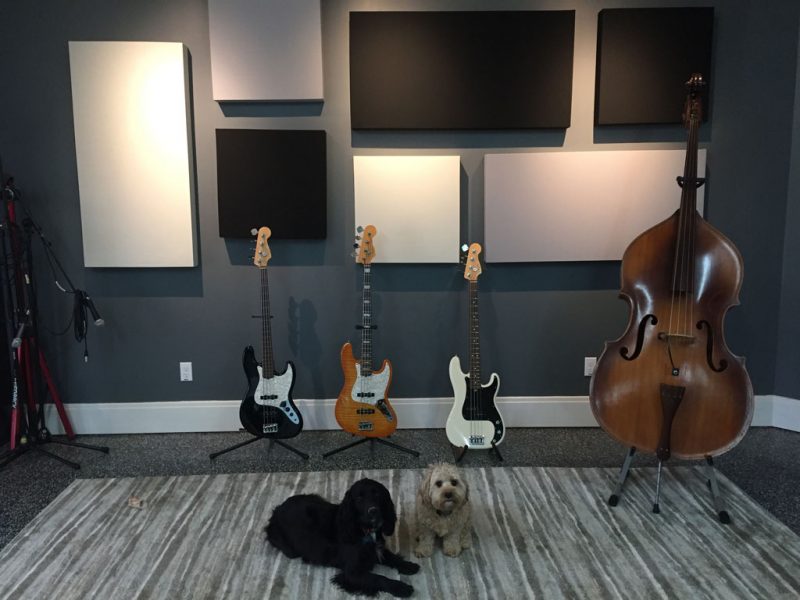 Eric Johnson GIK Acoustics Acoustic Panels with Bass and Dogs