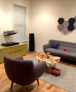 GIK Acoustics DecoShapes Decorative Hexagon Acoustic panels in mark pinsk living room